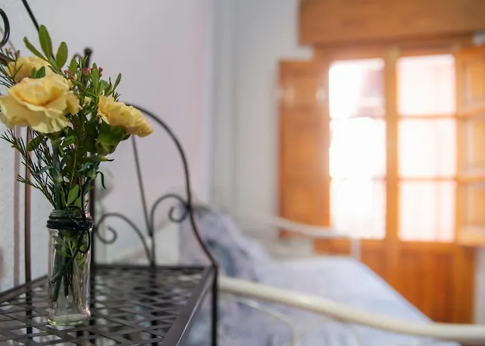 Apartamentos La Miga Granada